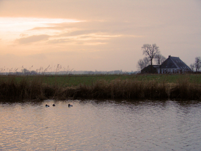 Toch nog een beetje zon op een grauwe winterdag..
