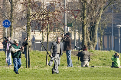 Grote belangstelling voor de Pestvogels in Zwolle.