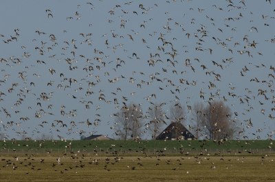 Vliegbeeld met de 300mm