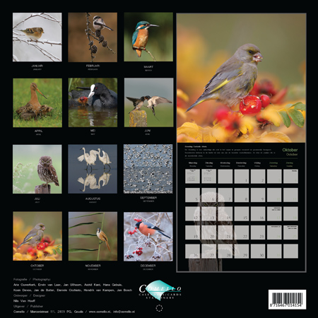 Achterzijde kalender