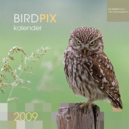 Kalender 2009
