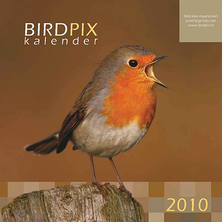Kalender 2010