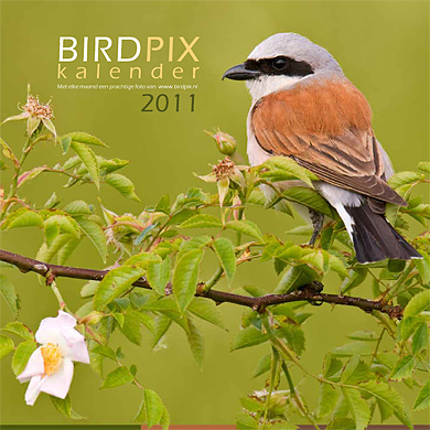 Kalender 2011