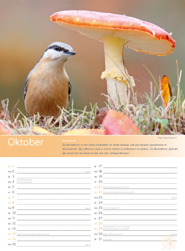 Binnenkant kalender 2017